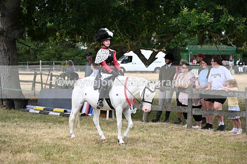 WJ6_4608 - Class 11 Fancy Dress