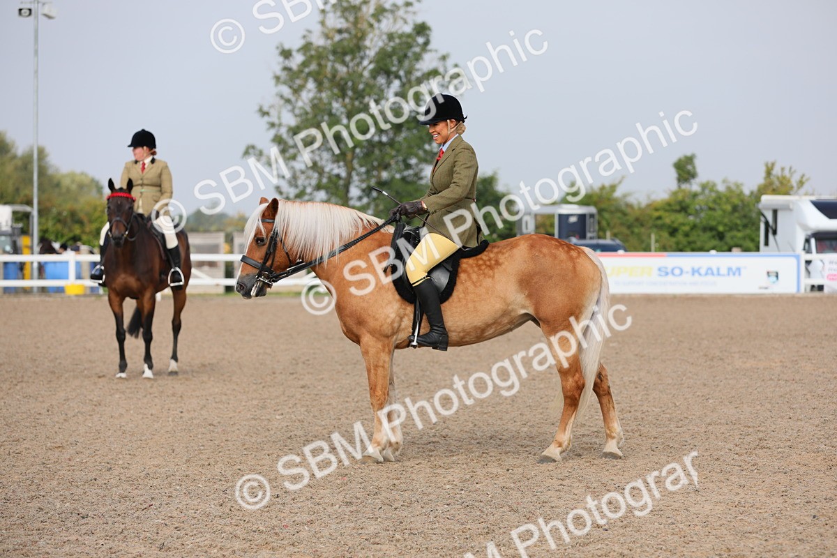 SBM_10720 - Class 303 Ridden Pure Bred Horse/Pony (excl M&M)