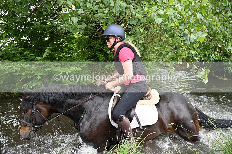 WJ7_2081 - Camera 2 Water Crossing