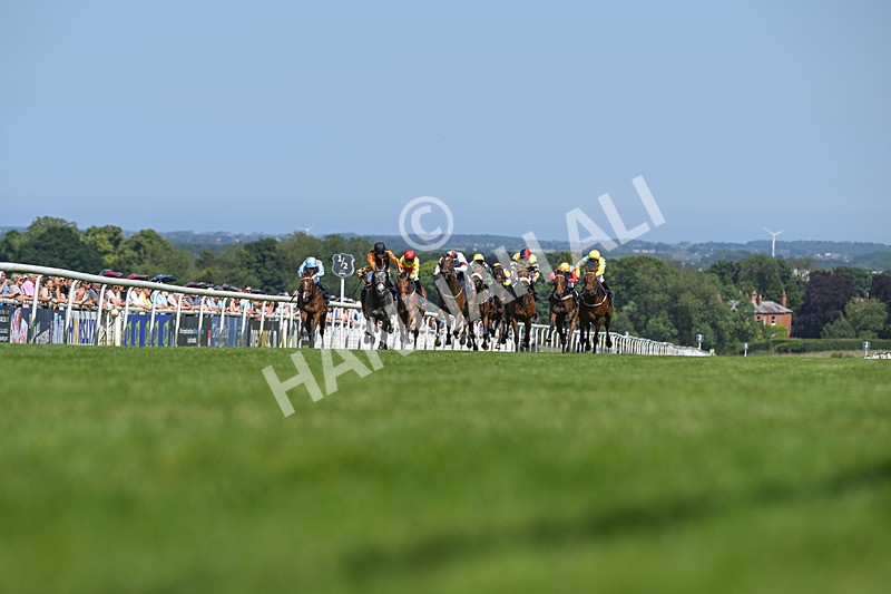 250624-Race 3-Island Native-9031 - Race 3