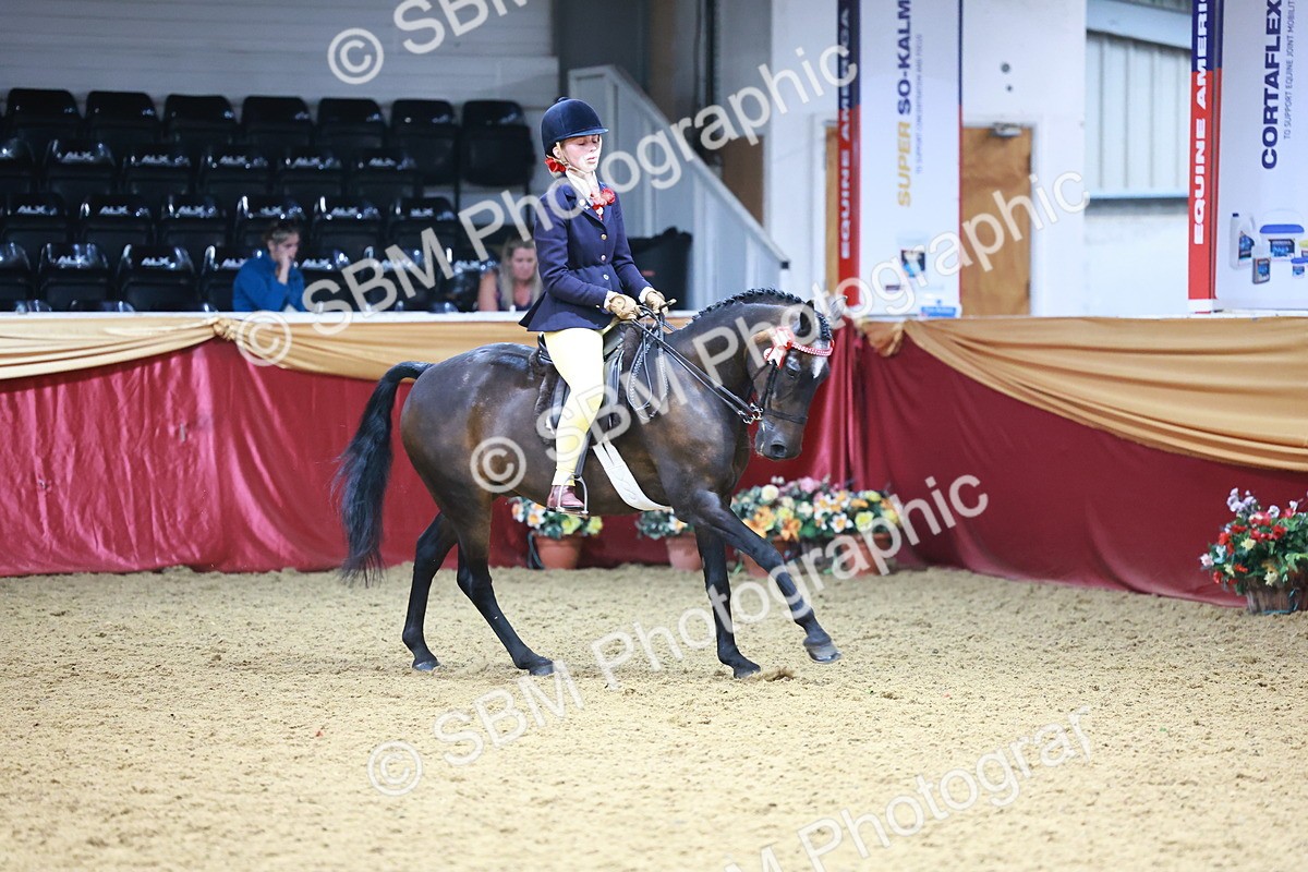 SBM_23346 - Class 904 - Supreme Final - Ridden Diamond