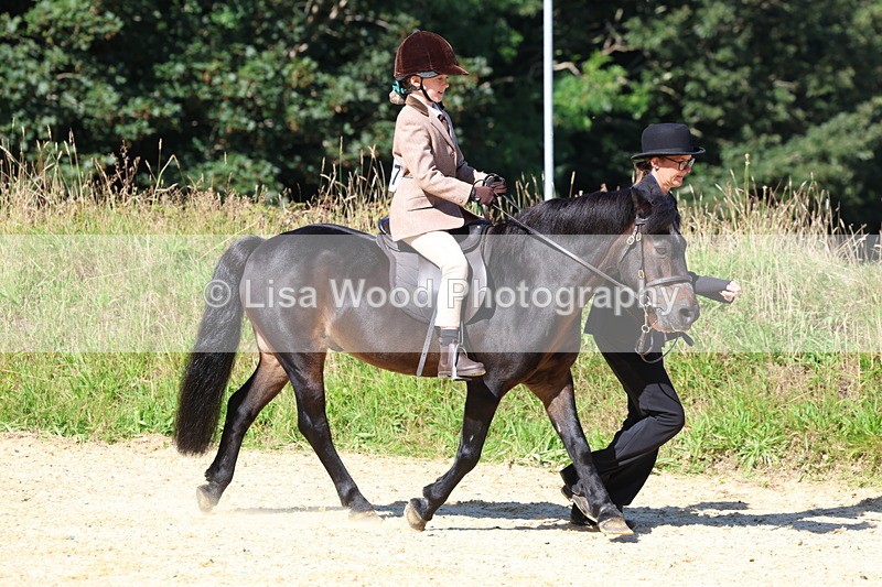 3E7A8035 - Class 15: Lead Rein