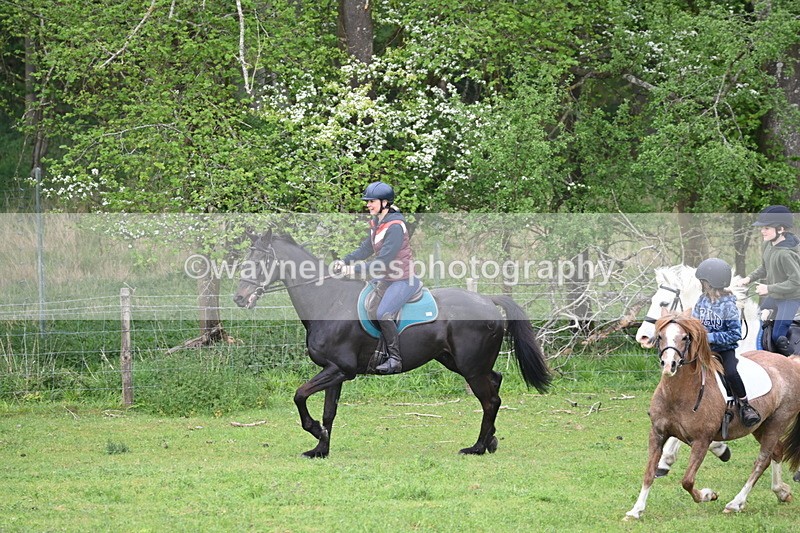 WJ6_2994 - A Camera