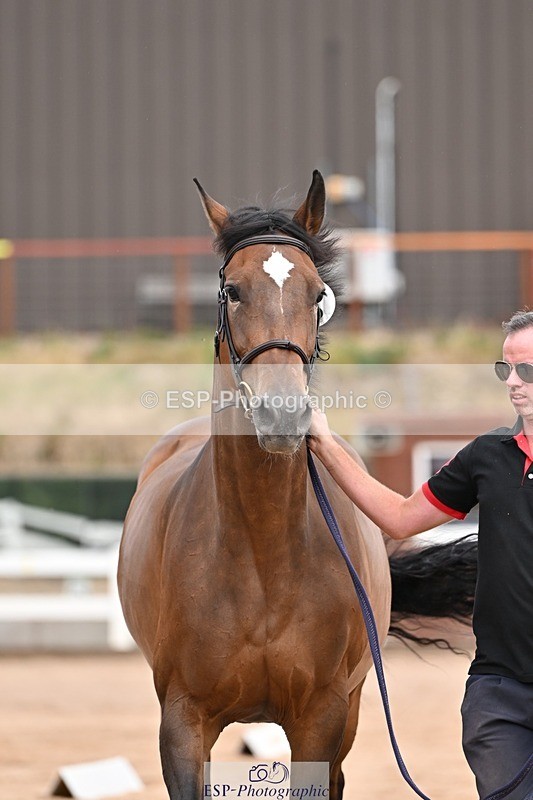 250716-151721-01846 - Trot Up 2.30 to 3.30