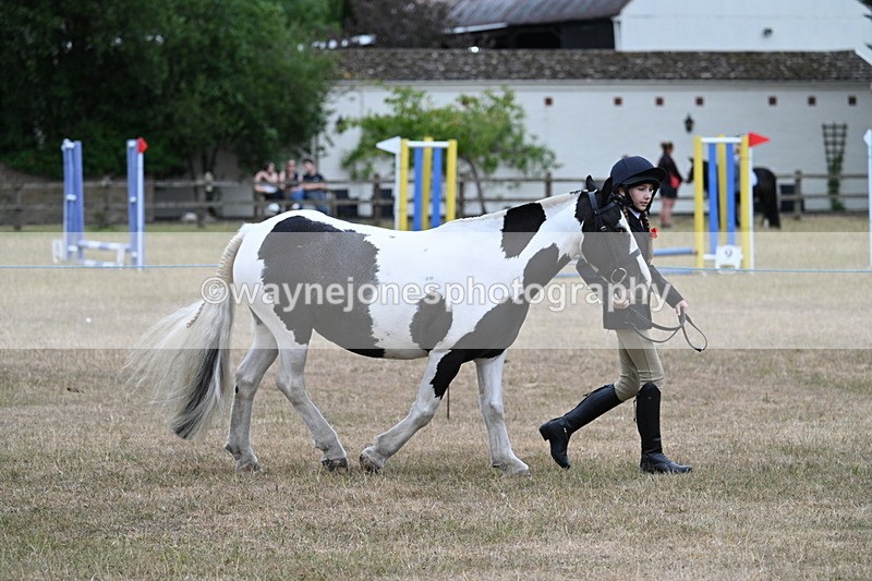 WJ7_8269 - Class 4 Prettiest Mare up to 14.2hh