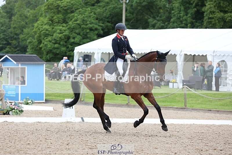 240524-093559-07227 - 256-QUINTUS-Tom_McEwen