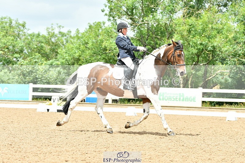 230701A-132502-06310 - Cls 12, 15 + 19 Music Medium, Adv Medium + Inter I