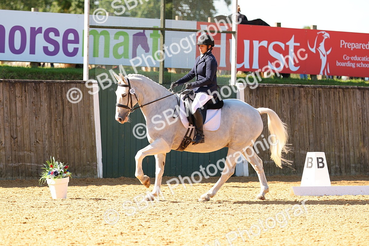 SBM_40627 - D18 - Grand Tour Championship - Novice 34