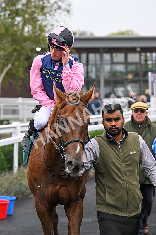 181025-Race 2-Sierra Sands-0381 - Race 2