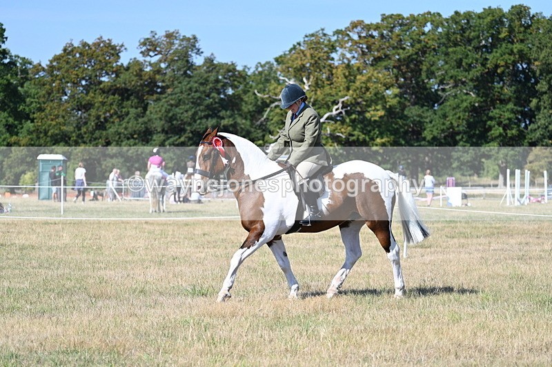 WJ7_3269 - Class 8 Ridden Tack & Turnout