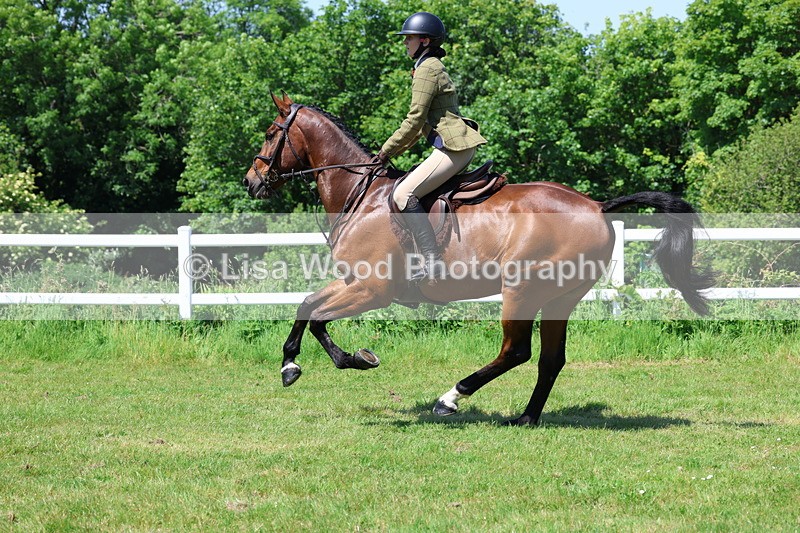 3E7A7298 - Class 30: Novice Working Hunter