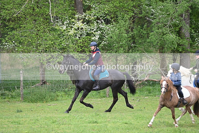 WJ6_2993 - A Camera