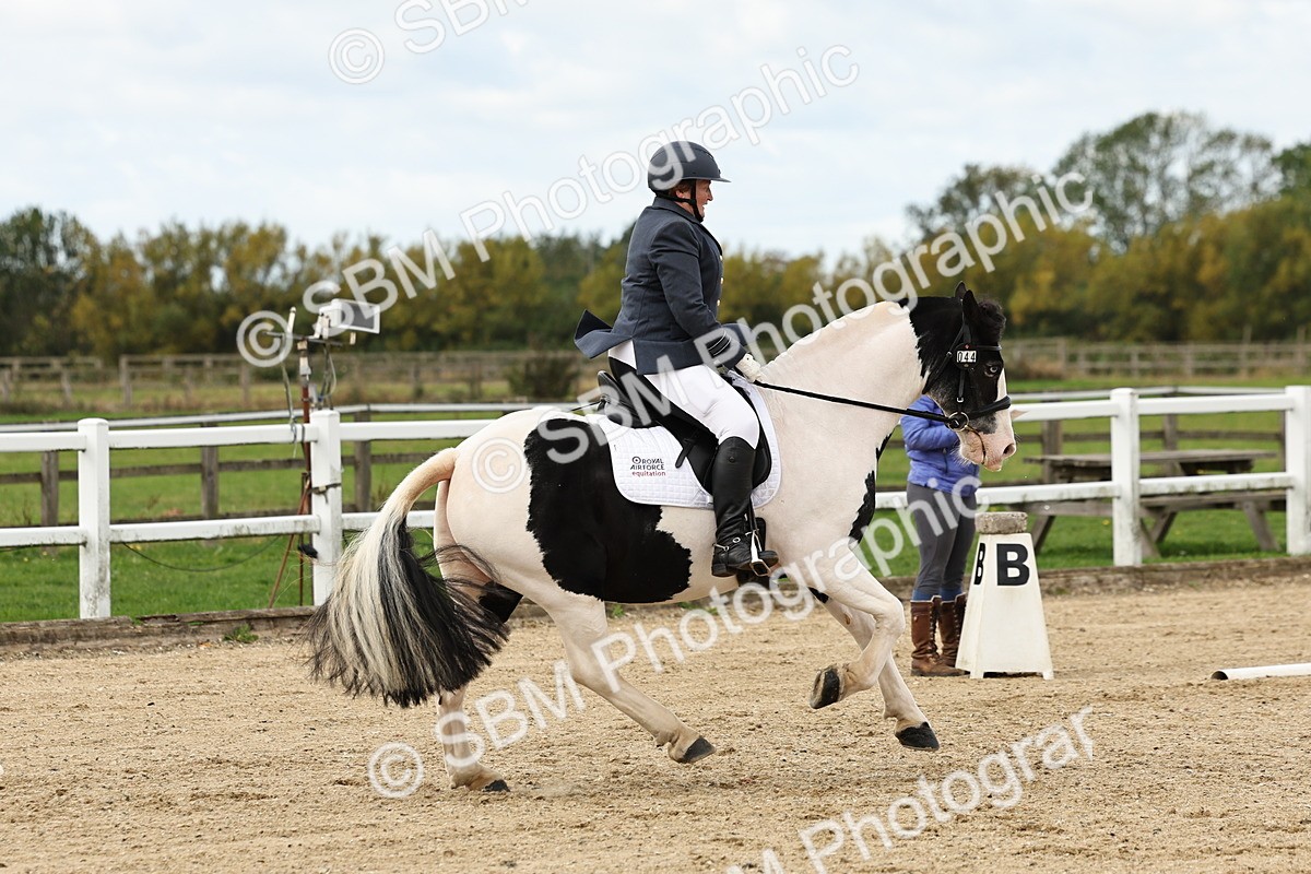 SBM_004418 - Class 69 - Novice 2