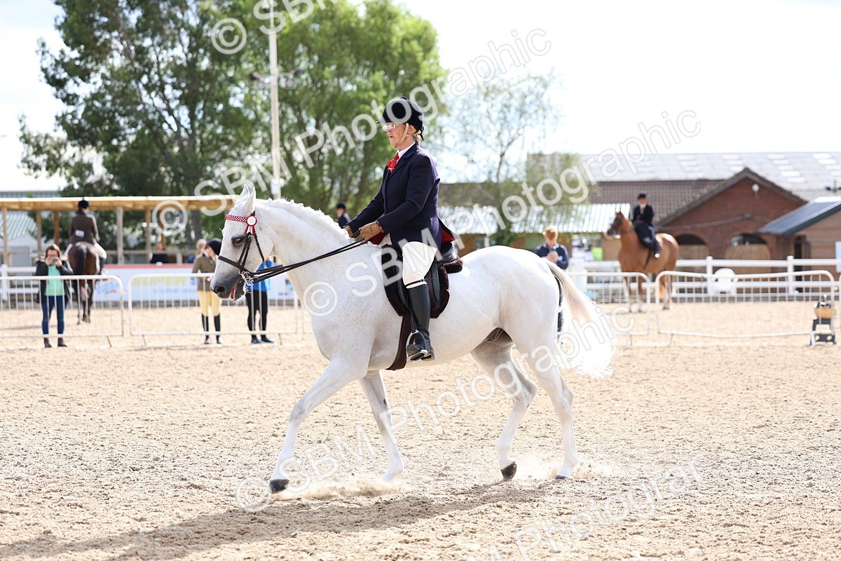 SBM_10058 - Class 304 - Ridden Part Bred Horse Pony