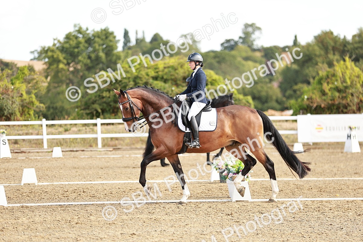 SBM_008731