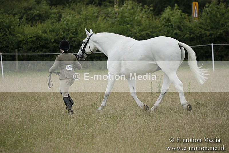 B230619-0774 - Bourne Valley Riding Club Summer Show 23/06/19
