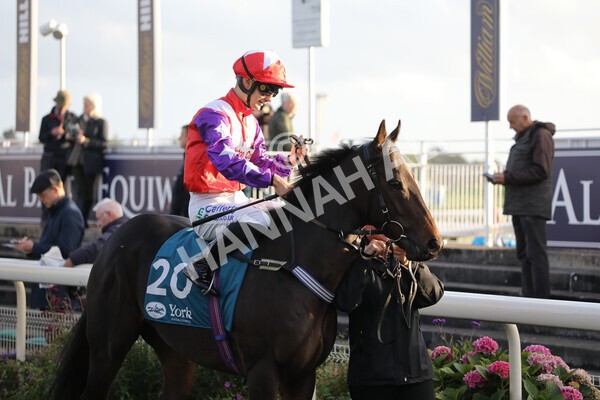 yr07102022r7-15 - Race 7 5.35pm IRE Incentive, It Pays To Buy Irish Stakes