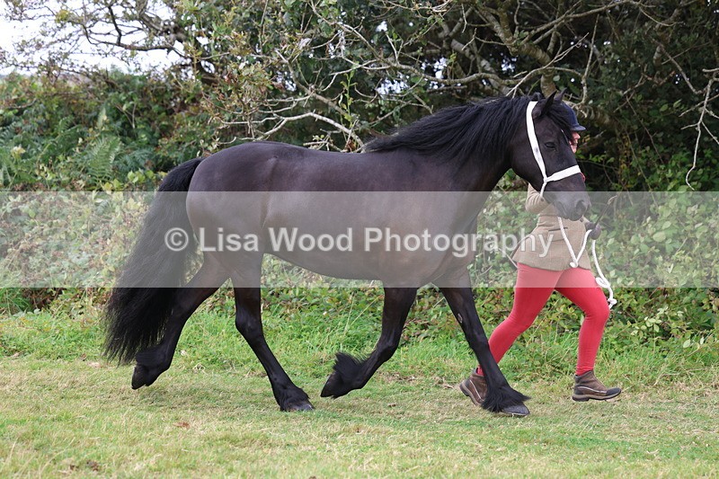 3E7A4556 - Class 16: Best Grass Kept