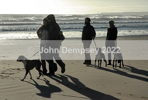 Walking With Style - Walking the Dog
