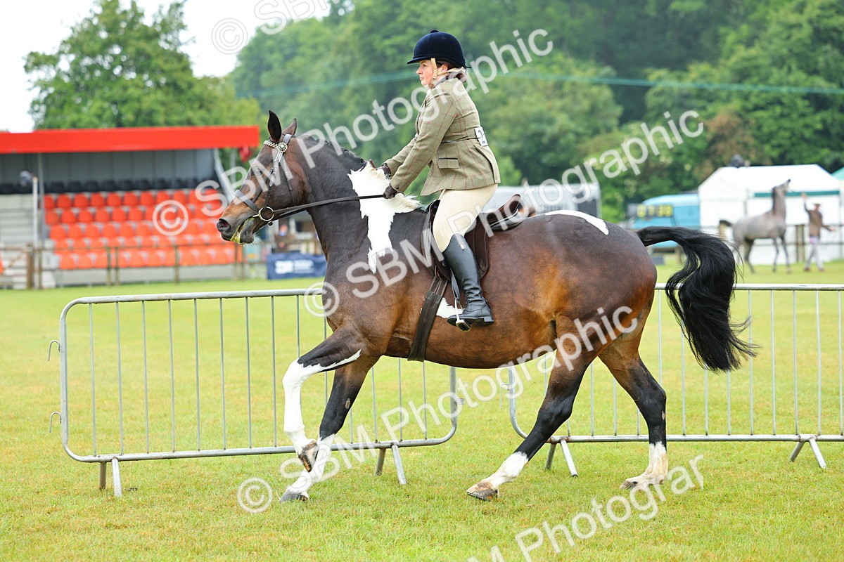 SBM_00946 - Class 1-4 - BSPA Ridden