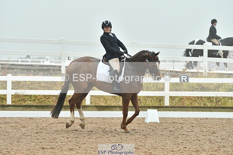 230708A-151004-03001 - Elementary 43