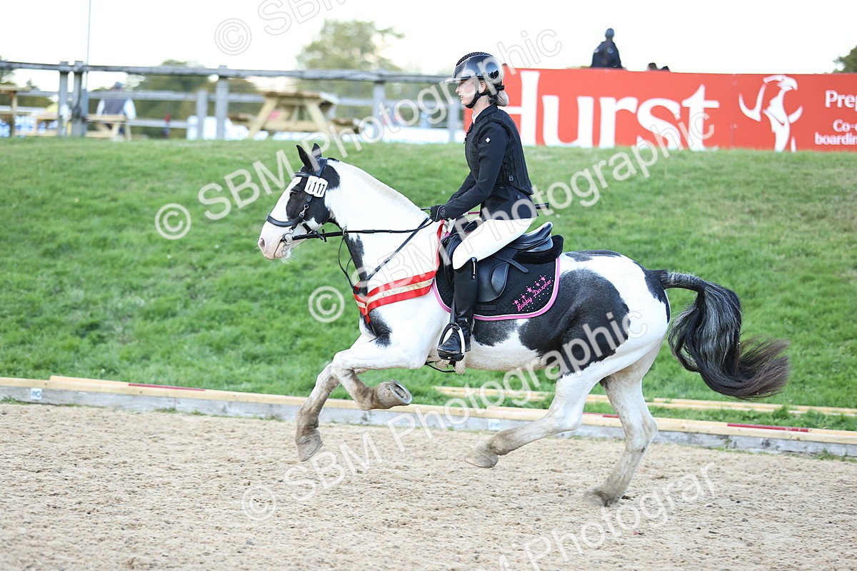 SBM_54448 - Supreme Championship 70cm 75cm