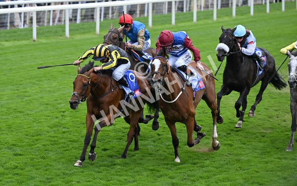 220825-007 Asgards Captain - Race 1 1.50pm Sky Bet Handicap