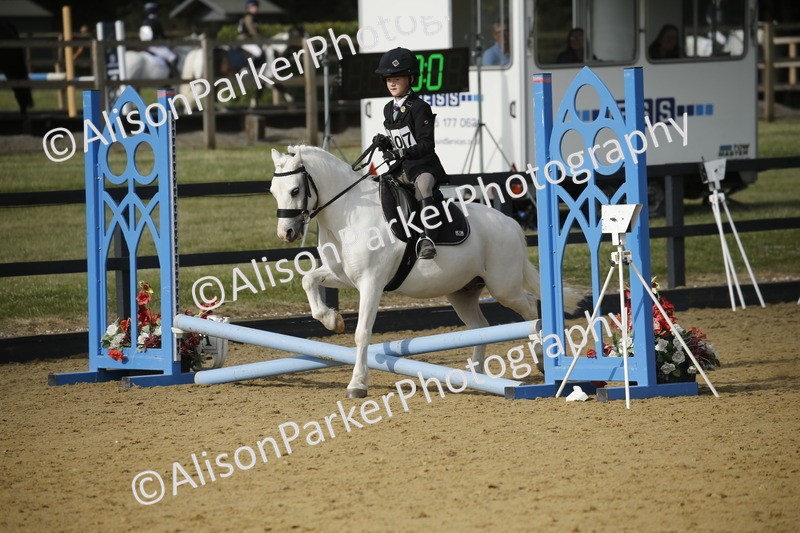 20250622-1203 - 40cm