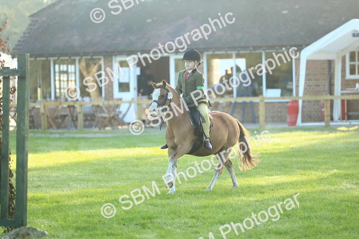 SBM_31826 - S28 - Nursery Stakes Working Hunter Pony