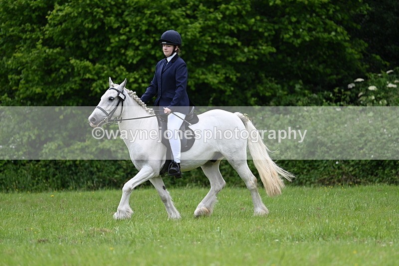 WJ7_2623 - Class 12A Coloured Class