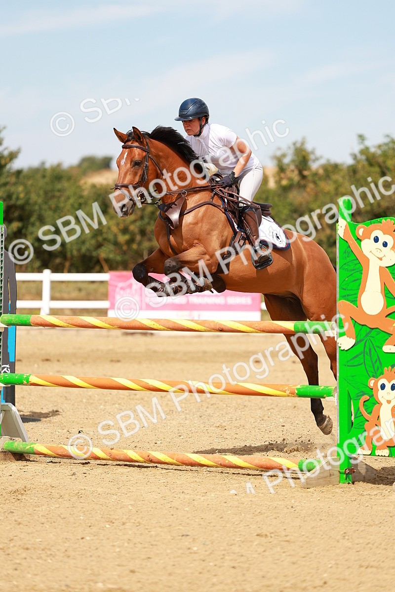 SBM_003833