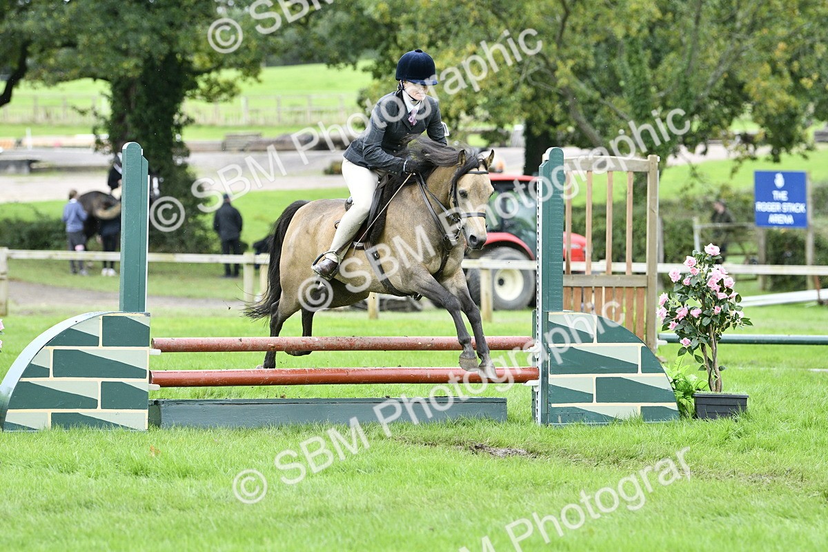 SBM_41360 - S32 - Mountain & Moorland Working Hunter Pony