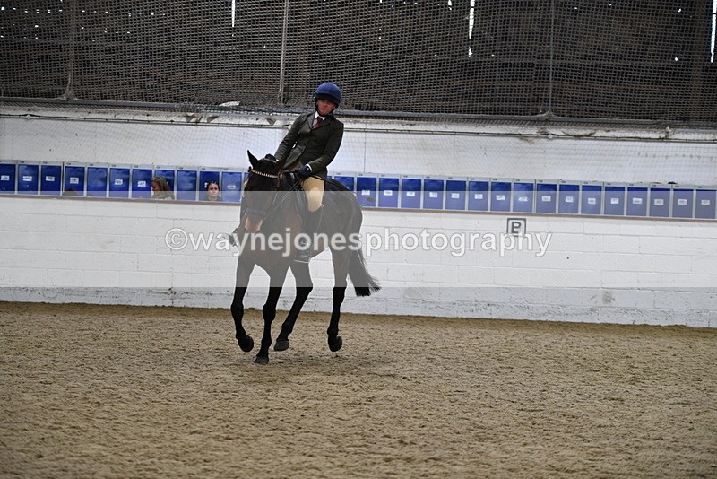 WJ5_8022 - Class 13 Ridden Part Breed