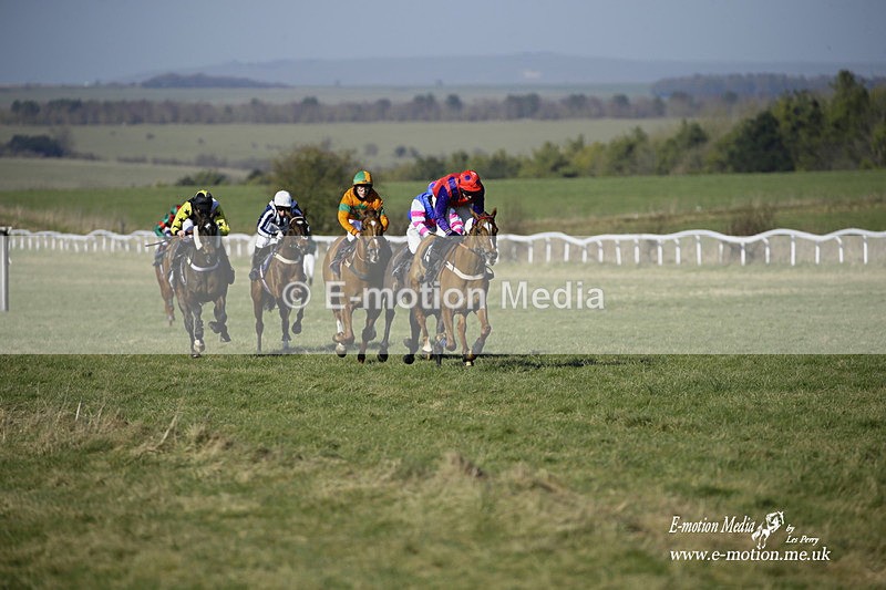 PtP 270222 76 - South & West Wilts Point-to-Point Larkhill 27/02/22