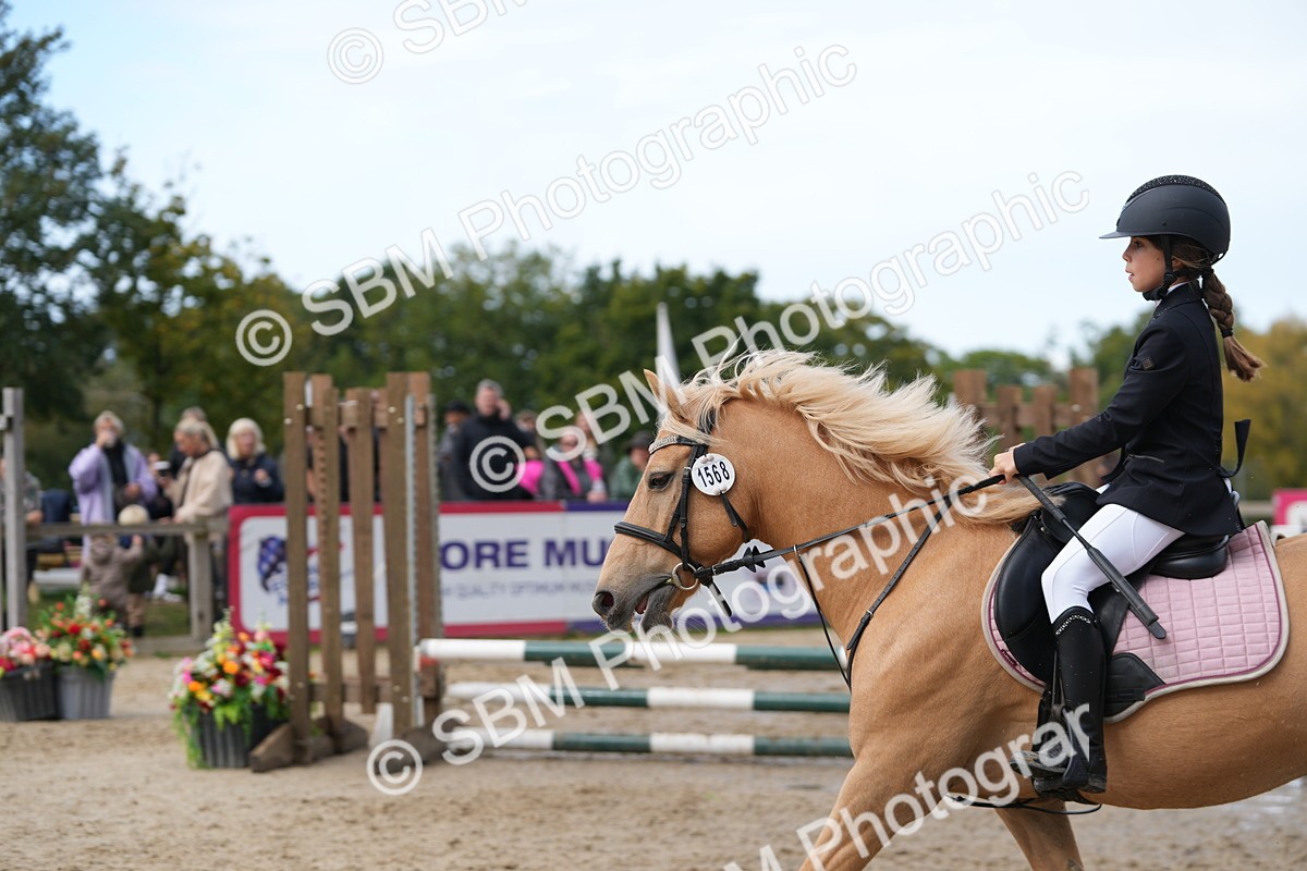 SBM_40038 - J6 - Junior Pony 55cm Championship