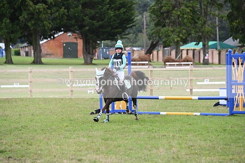 WJ6_1437 - 60cm Time 11:51 to 12:10