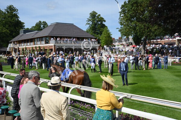 yr09072022r4-3 - Race 4 3.30pm John Smith's Nursery Stakes