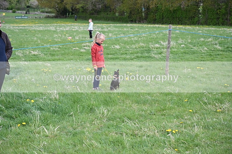 WJ6_8038 - Class 2 Best Pedigree