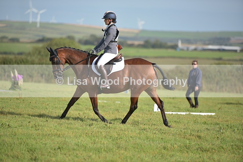 RAY_7566 - Class 2B: Trekenning Open: Dressage