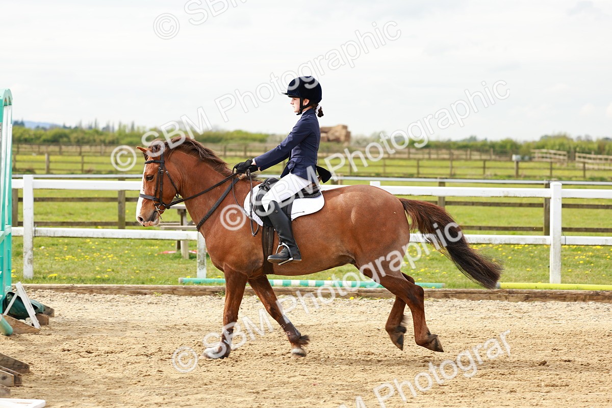 SBM_003506 - Class 2 - 50cm