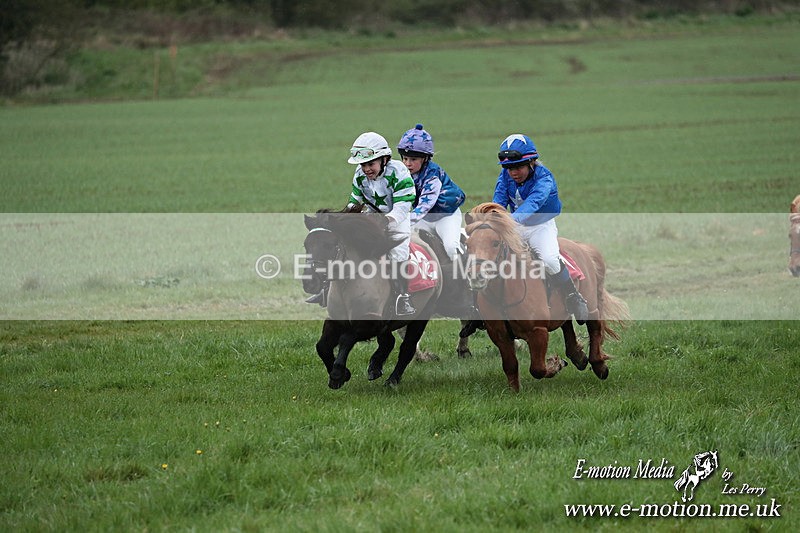 SHETPR 210425 174 - Shetland Ponies Paxford Races 21/04/25