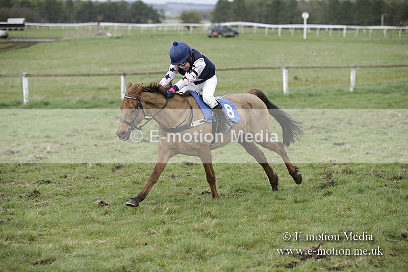 PtP 150320 0784 - New Forest Point-to-Point Larkhill 15/03/20