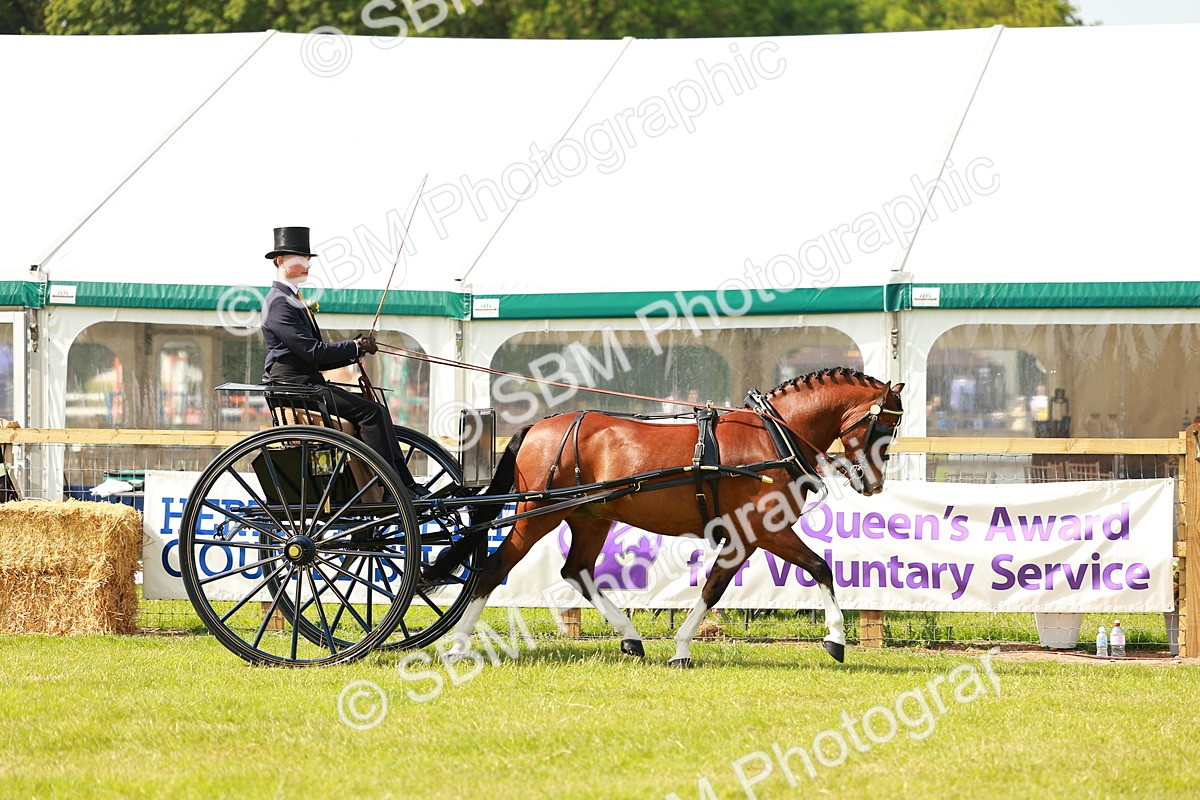 SBM_02729 - Class 2-4 - HOYS Private Driving