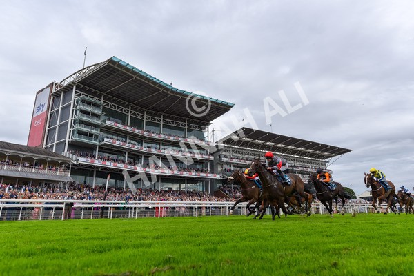 270724-Race 5-Theme Park-1398 - Race 5 4.35pm Sky Bet Prize Drop Handicap