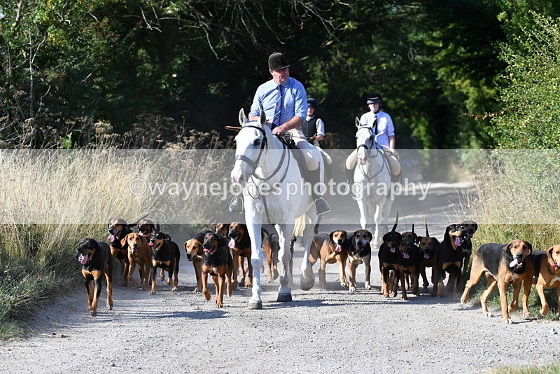 WJ5_4796 - Walk out with the hounds