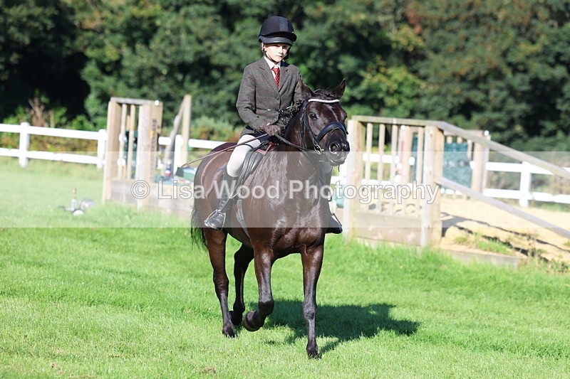 3E7A7633 - Class 1: Novice Working Hunter Pony