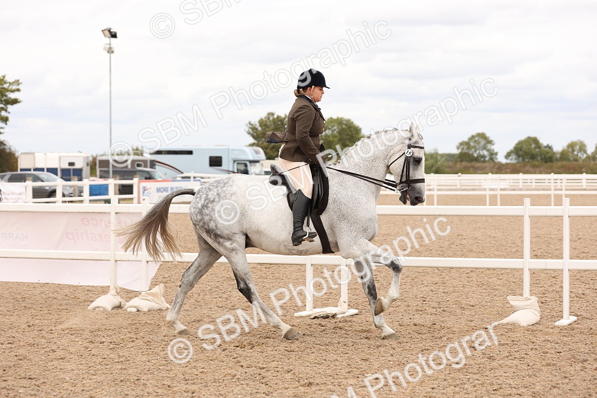 SBM_17223 - Class 213 - Ridden Hunter - Large