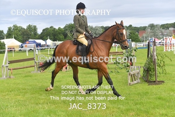 JAC_8373 - CLASS 1 BHS 1M SCONE QUALIFIER