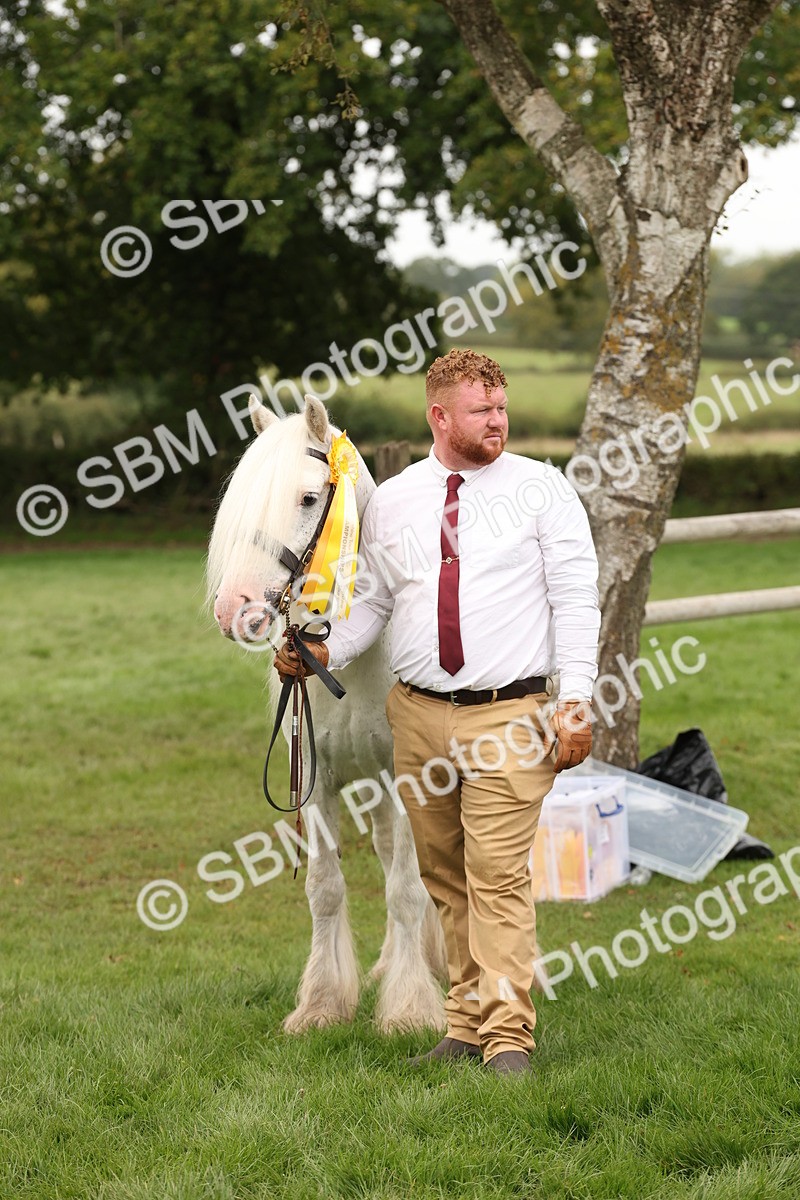 SBM_59370 - S57 - Traditional Cob In Hand