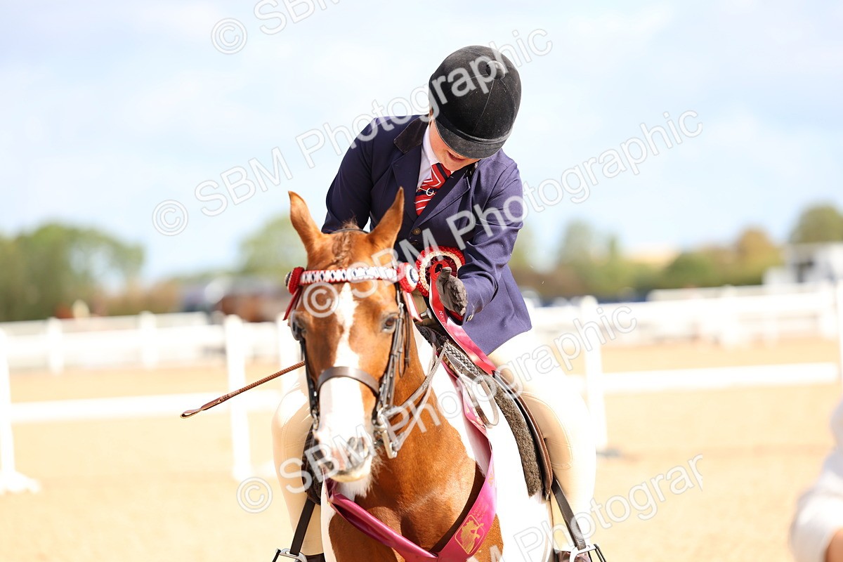 SBM_10147 - Class 304 - Ridden Part Bred Horse Pony